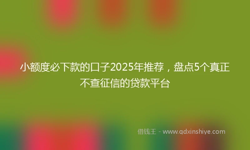小额度必下款的口子2025年推荐，盘点5个真正不查征信的贷款平台
