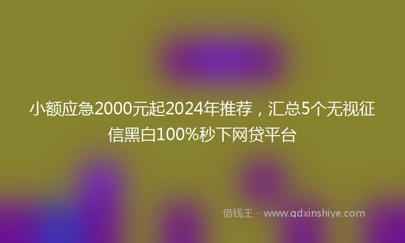 小额应急2000元起2024年推荐，汇总5个无视征信黑白100%秒下网贷平台
