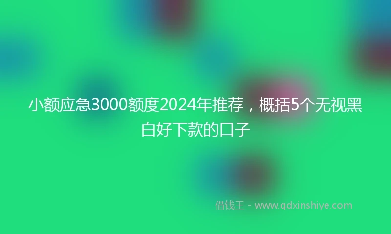 小额应急3000额度2024年推荐，概括5个无视黑白好下款的口子