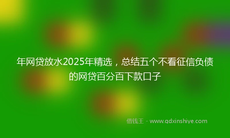 年网贷放水2025年精选，总结五个不看征信负债的网贷百分百下款口子