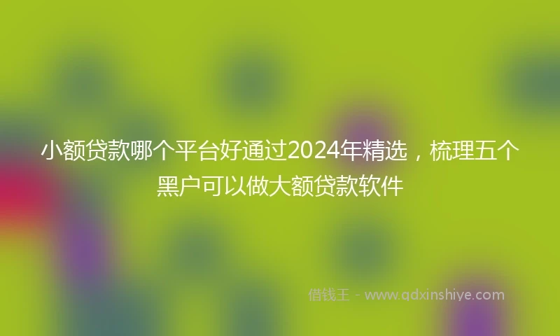 小额贷款哪个平台好通过2024年精选，梳理五个黑户可以做大额贷款软件