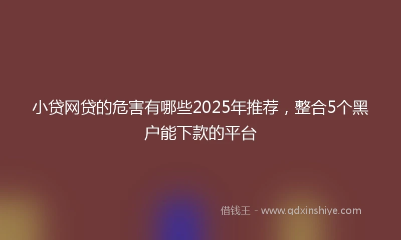 小贷网贷的危害有哪些2025年推荐，整合5个黑户能下款的平台