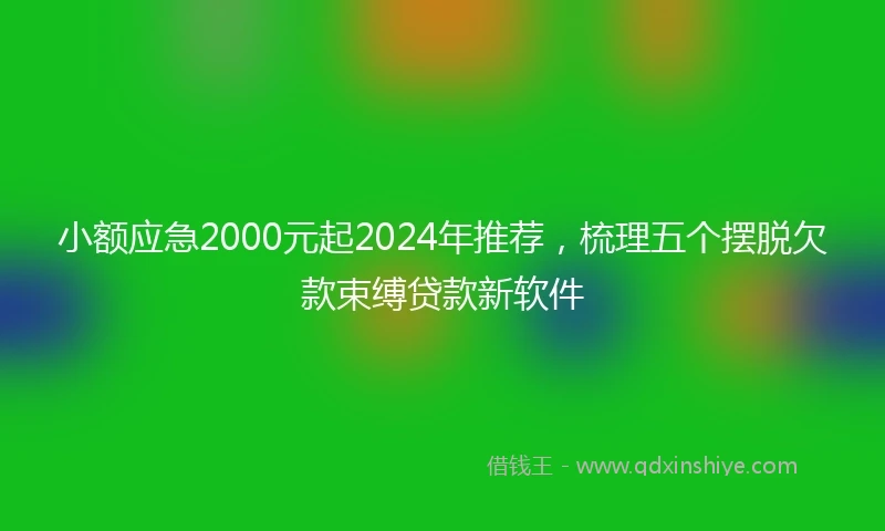 小额应急2000元起2024年推荐，梳理五个摆脱欠款束缚贷款新软件