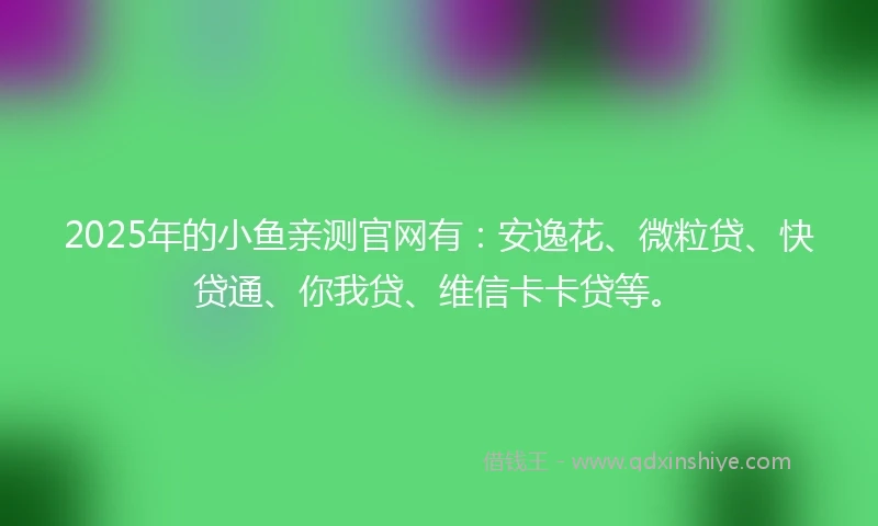 2025年的小鱼亲测官网有：安逸花、微粒贷、快贷通、你我贷、维信卡卡贷等。