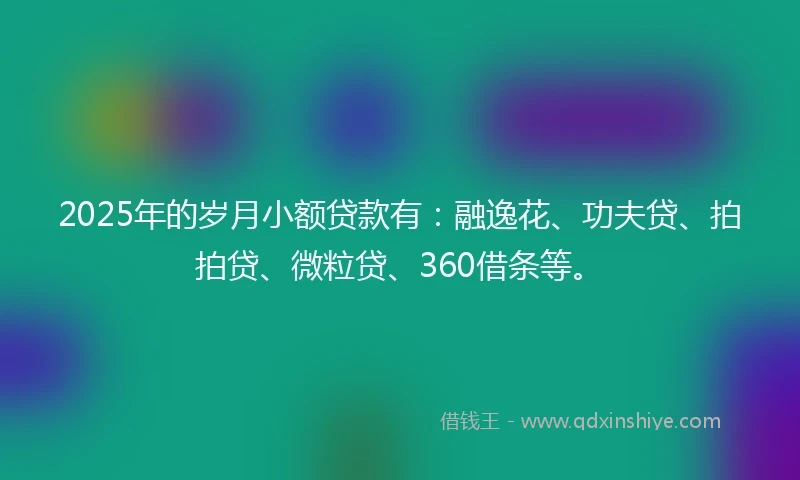 2025年的岁月小额贷款有：融逸花、功夫贷、拍拍贷、微粒贷、360借条等。