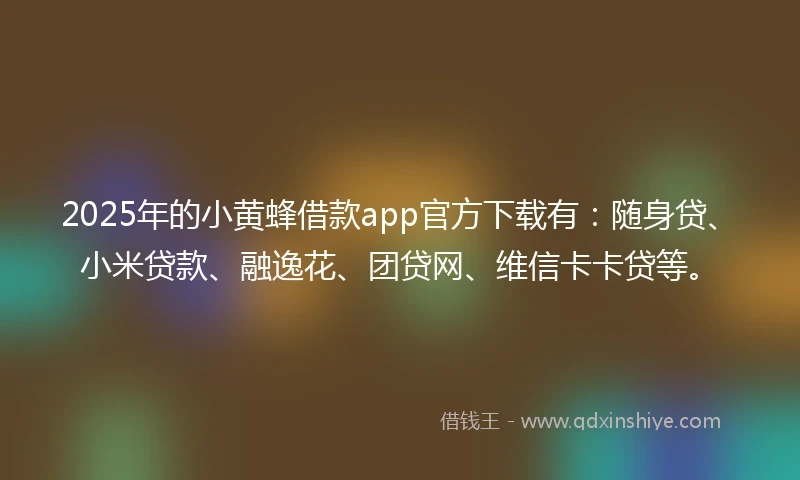 2025年的小黄蜂借款app官方下载有：随身贷、小米贷款、融逸花、团贷网、维信卡卡贷等。