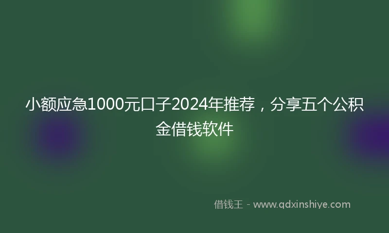 小额应急1000元口子2024年推荐，分享五个公积金借钱软件