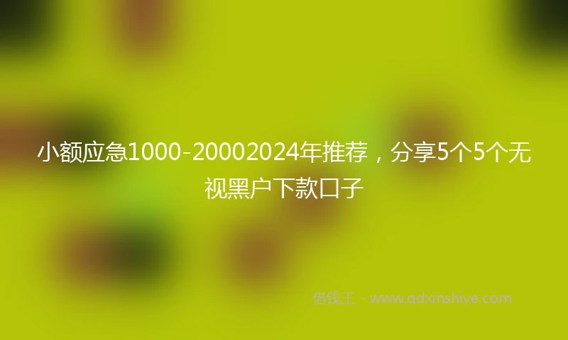 小额应急1000-20002024年推荐，分享5个5个无视黑户下款口子