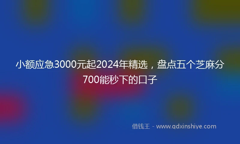 小额应急3000元起2024年精选,盘点五个芝麻分700能秒下的口子