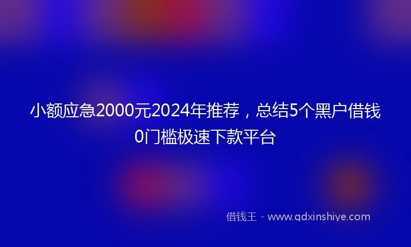 小额应急2000元2024年推荐，总结5个黑户借钱0门槛极速下款平台