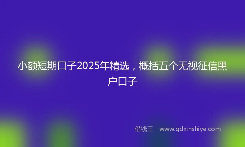 小额短期口子2025年精选，概括五个无视征信黑户口子