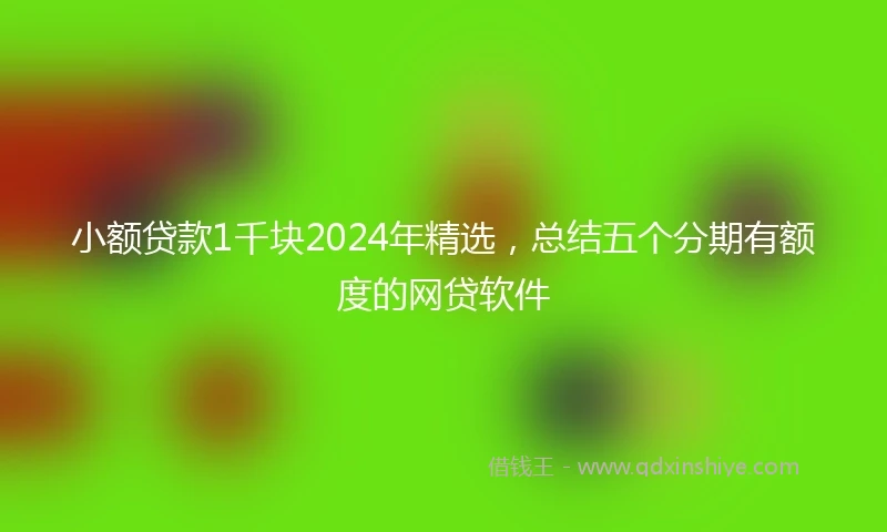 小额贷款1千块2024年精选，总结五个分期有额度的网贷软件