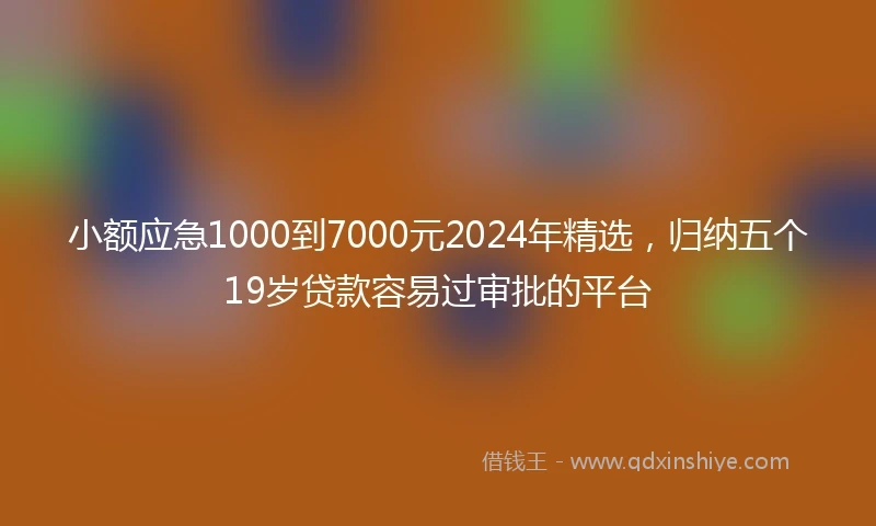 小额应急1000到7000元2024年精选，归纳五个19岁贷款容易过审批的平台