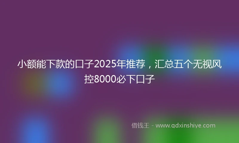 小额能下款的口子2025年推荐，汇总五个无视风控8000必下口子