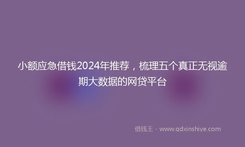 小额应急借钱2024年推荐，梳理五个真正无视逾期大数据的网贷平台