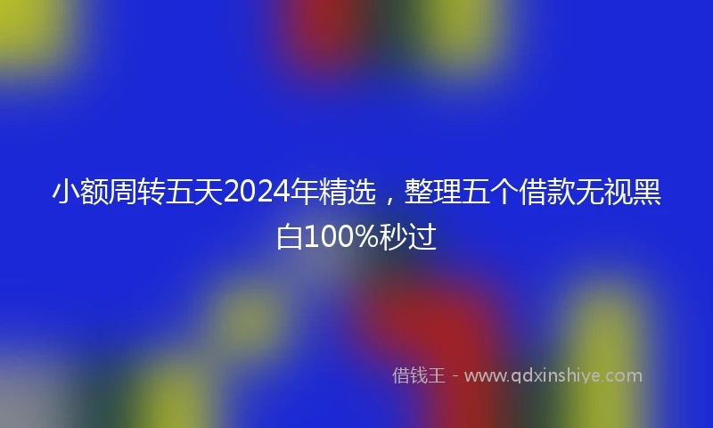小额周转五天2024年精选，整理五个借款无视黑白100%秒过