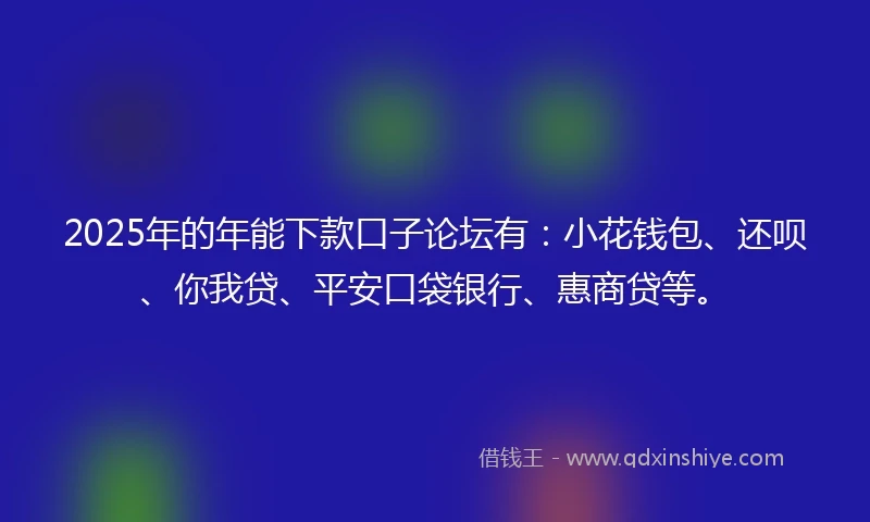 2025年的年能下款口子论坛有：小花钱包、还呗、你我贷、平安口袋银行、惠商贷等。