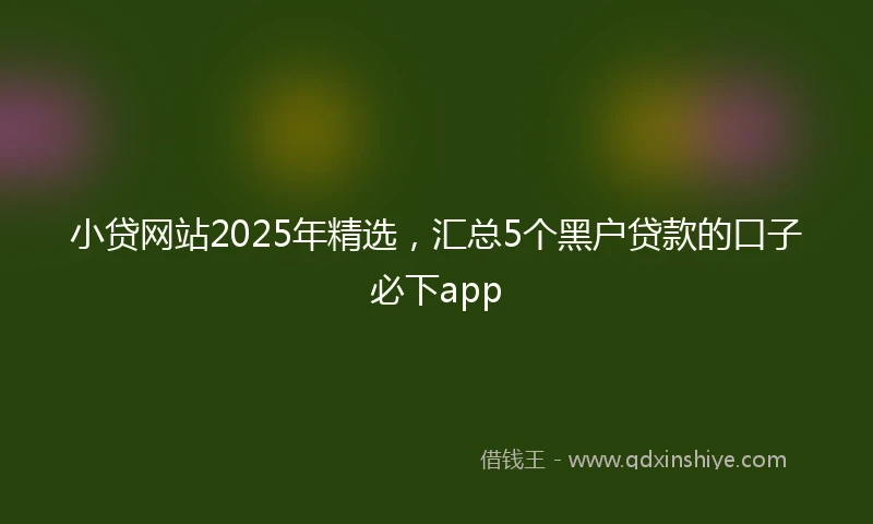 小贷网站2025年精选，汇总5个黑户贷款的口子必下app