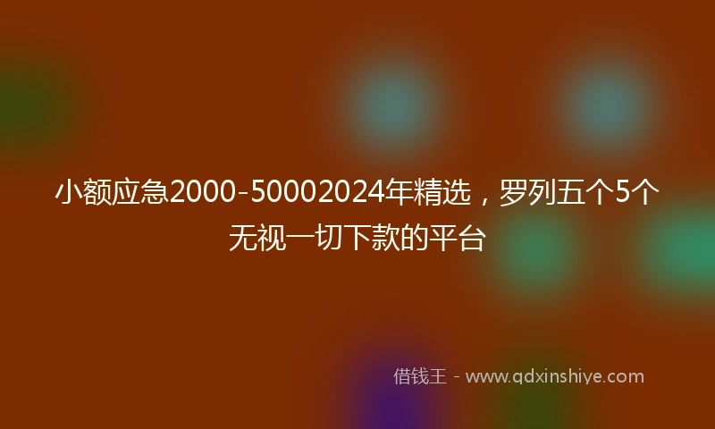 小额应急2000-50002024年精选，罗列五个5个无视一切下款的平台
