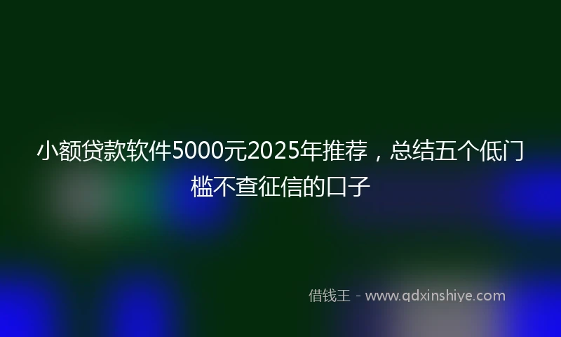 小额贷款软件5000元2025年推荐，总结五个低门槛不查征信的口子