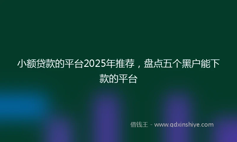 小额贷款的平台2025年推荐，盘点五个黑户能下款的平台