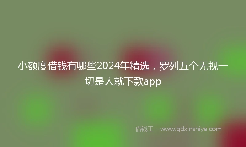 小额度借钱有哪些2024年精选，罗列五个无视一切是人就下款app