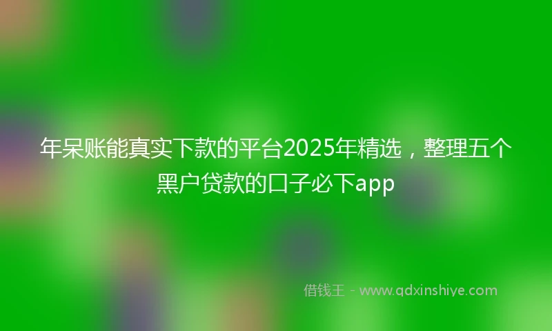 年呆账能真实下款的平台2025年精选，整理五个黑户贷款的口子必下app