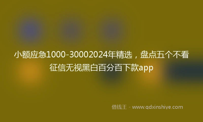小额应急1000-30002024年精选，盘点五个不看征信无视黑白百分百下款app