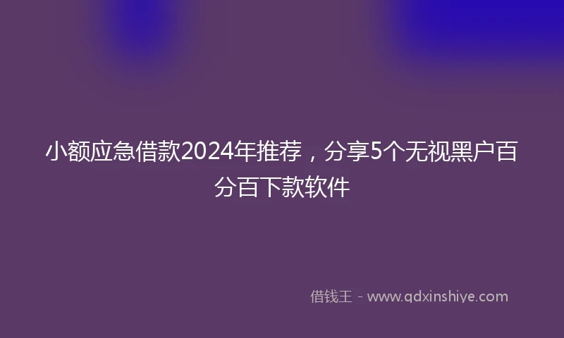 小额应急借款2024年推荐，分享5个无视黑户百分百下款软件