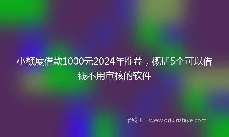 小额度借款1000元2024年推荐，概括5个可以借钱不用审核的软件