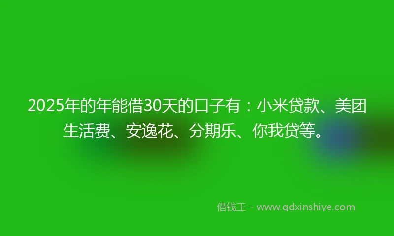 2025年的年能借30天的口子有：小米贷款、美团生活费、安逸花、分期乐、你我贷等。