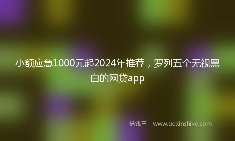 小额应急1000元起2024年推荐，罗列五个无视黑白的网贷app