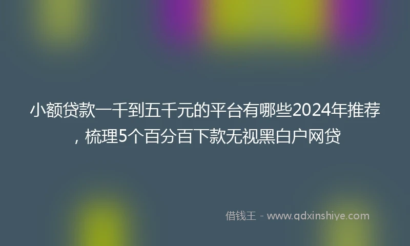 小额贷款一千到五千元的平台有哪些2024年推荐，梳理5个百分百下款无视黑白户网贷