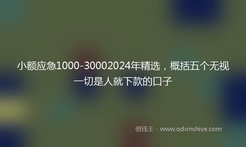 小额应急1000-30002024年精选，概括五个无视一切是人就下款的口子