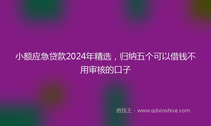 小额应急贷款2024年精选,归纳五个可以借钱不用审核的口子