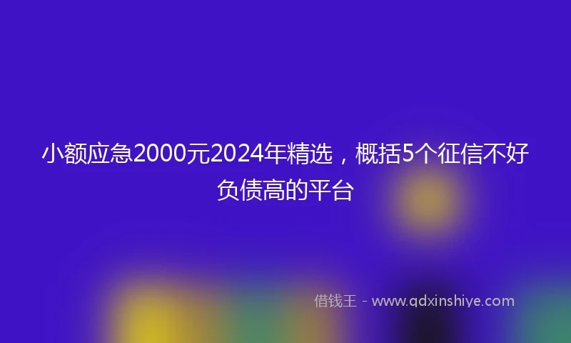 小额应急2000元2024年精选，概括5个征信不好负债高的平台
