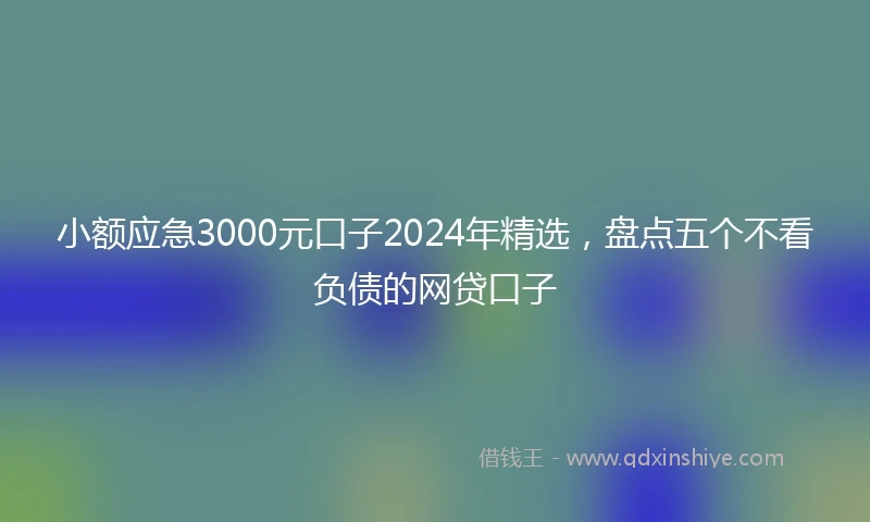 小额应急3000元口子2024年精选，盘点五个不看负债的网贷口子