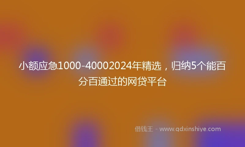 小额应急1000-40002024年精选，归纳5个能百分百通过的网贷平台