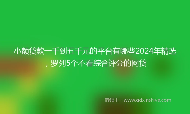 小额贷款一千到五千元的平台有哪些2024年精选，罗列5个不看综合评分的网贷