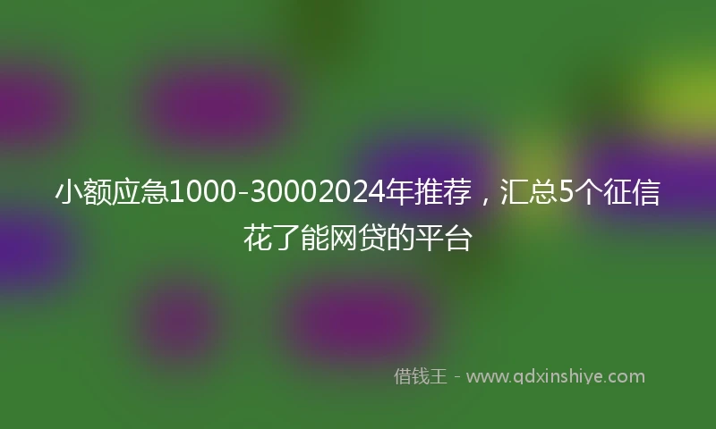 小额应急1000-30002024年推荐，汇总5个征信花了能网贷的平台