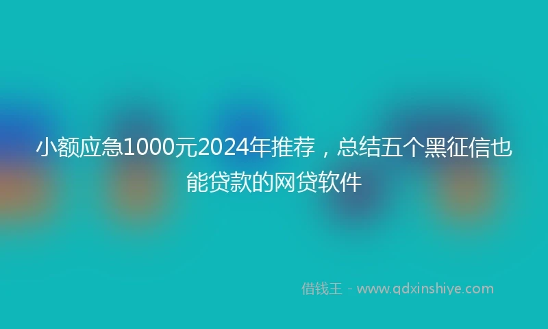 小额应急1000元2024年推荐，总结五个黑征信也能贷款的网贷软件
