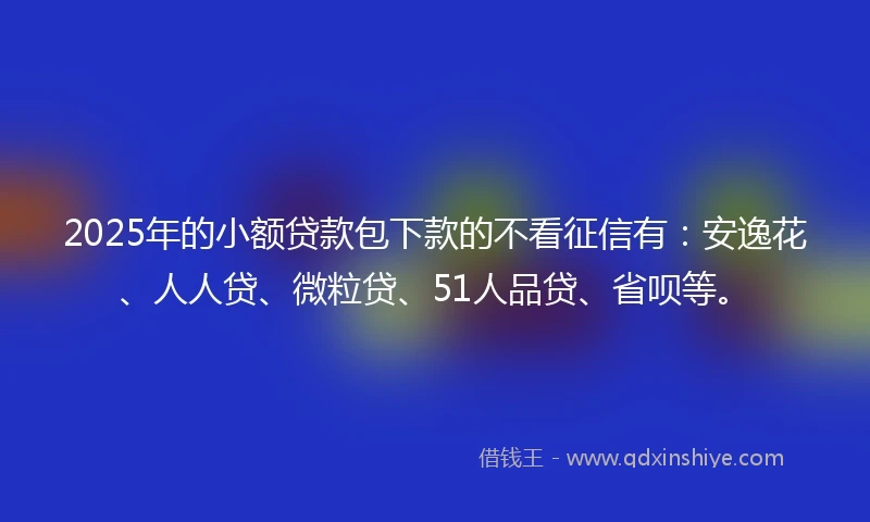2025年的小额贷款包下款的不看征信有：安逸花、人人贷、微粒贷、51人品贷、省呗等。