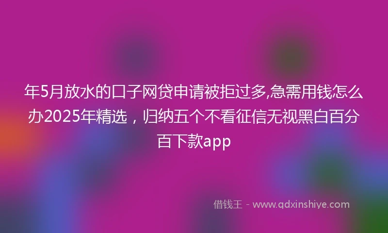 年5月放水的口子网贷申请被拒过多,急需用钱怎么办2025年精选，归纳五个不看征信无视黑白百分百下款app