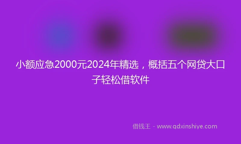 小额应急2000元2024年精选，概括五个网贷大口子轻松借软件