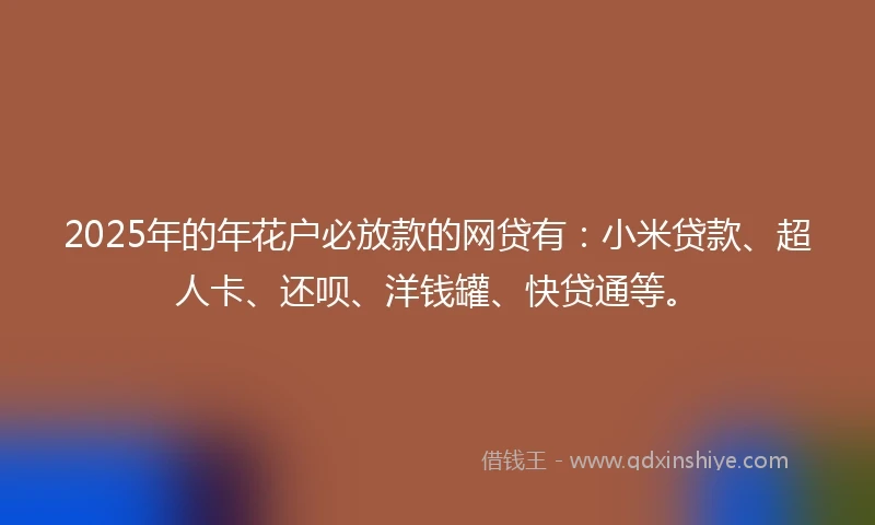 2025年的年花户必放款的网贷有：小米贷款、超人卡、还呗、洋钱罐、快贷通等。