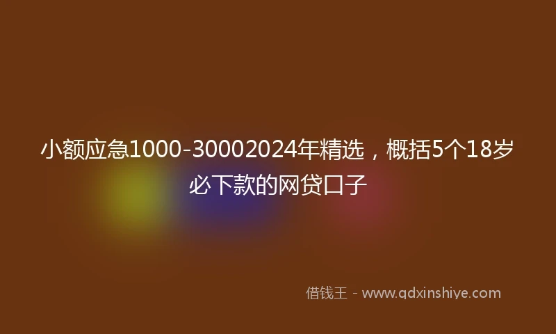 小额应急1000-30002024年精选，概括5个18岁必下款的网贷口子