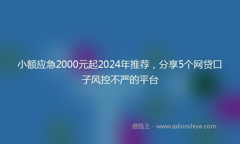 小额应急2000元起2024年推荐，分享5个网贷口子风控不严的平台