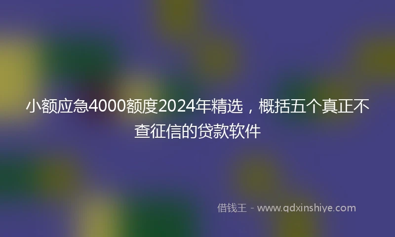小额应急4000额度2024年精选，概括五个真正不查征信的贷款软件