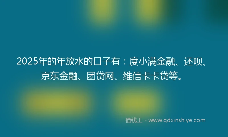 2025年的年放水的口子有：度小满金融、还呗、京东金融、团贷网、维信卡卡贷等。