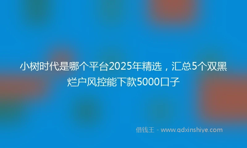 小树时代是哪个平台2025年精选，汇总5个双黑烂户风控能下款5000口子